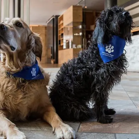 Falkensteiner L 4 Star Superior