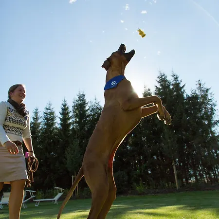 호텔 Falkensteiner L 4 Star Superior 4*