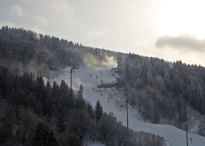 מלון Falkensteiner L 4 Star Superior שלאדמינג