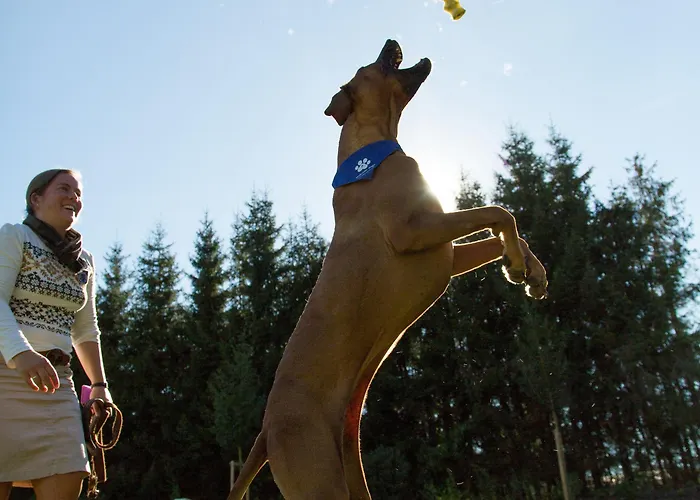 מלון Falkensteiner L 4 Star Superior 4*